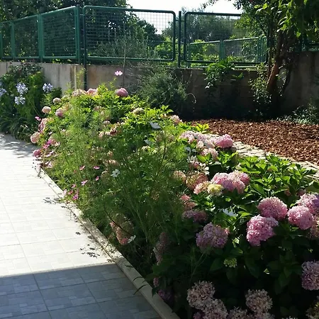 Appartement By The Sea Arbanija, Ciovo - 11321