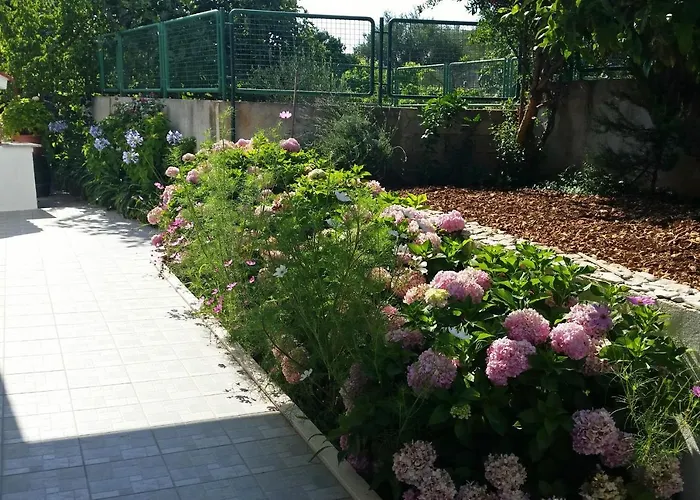 Appartement By The Sea Arbanija, Ciovo - 11321